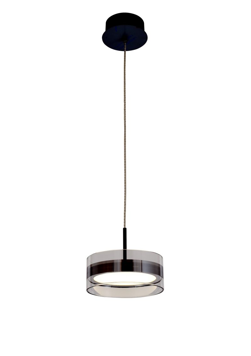 Modern Black Ring Pendant Light