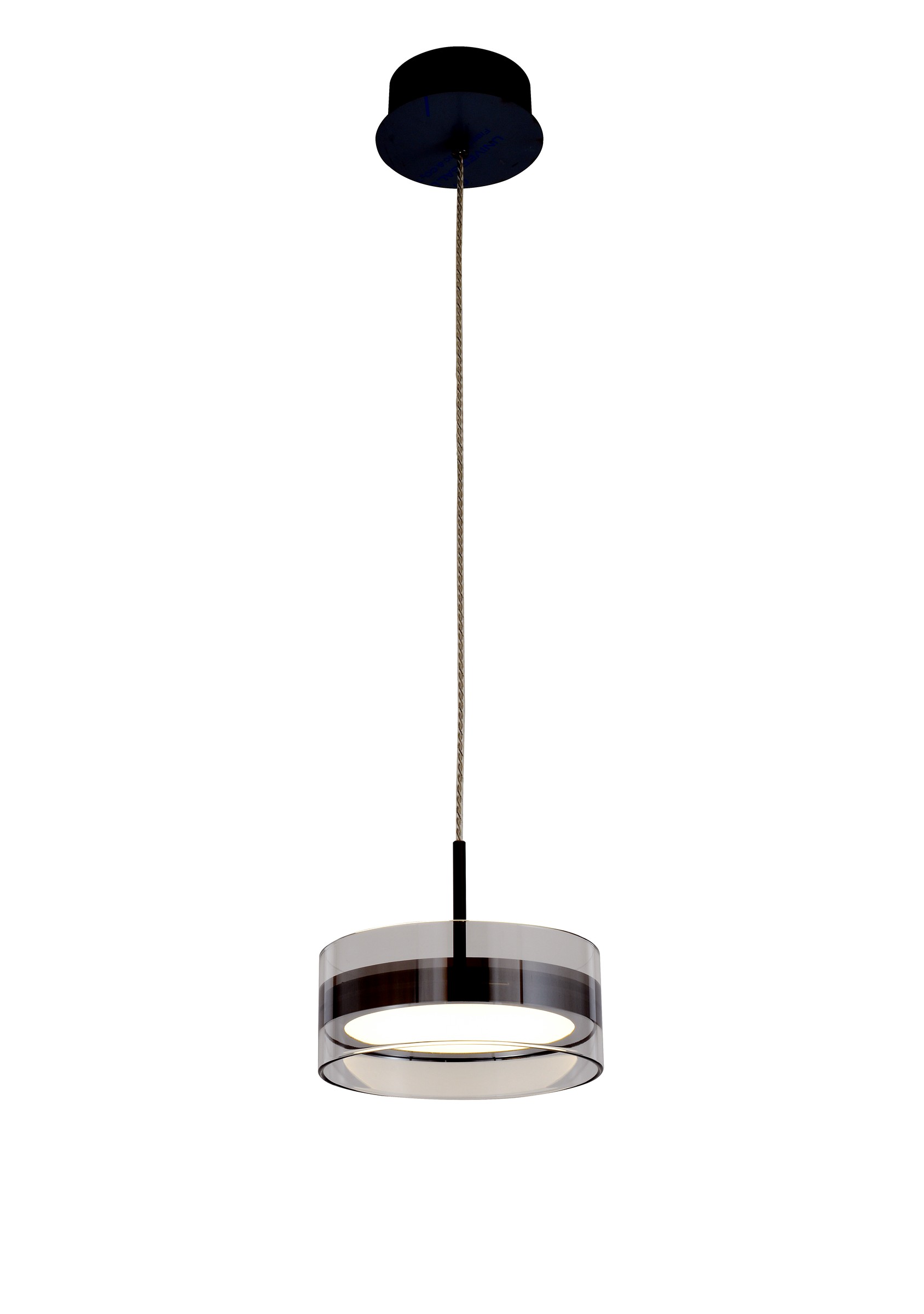 Modern Black Ring Pendant Light