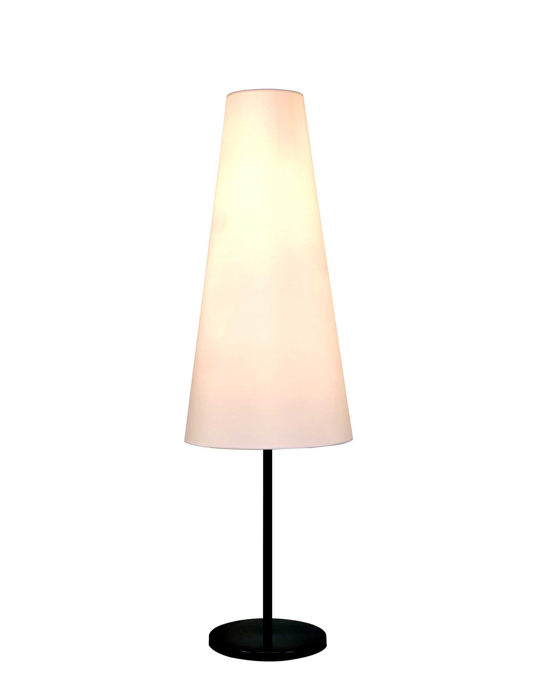 Minimalist White Floor Lamp